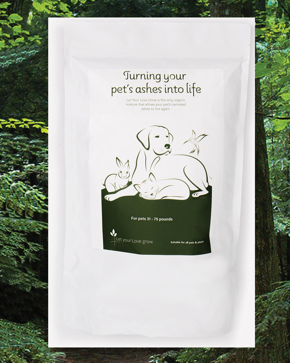 Let Your Love Grow - Turning Your Pet's Ashes into life