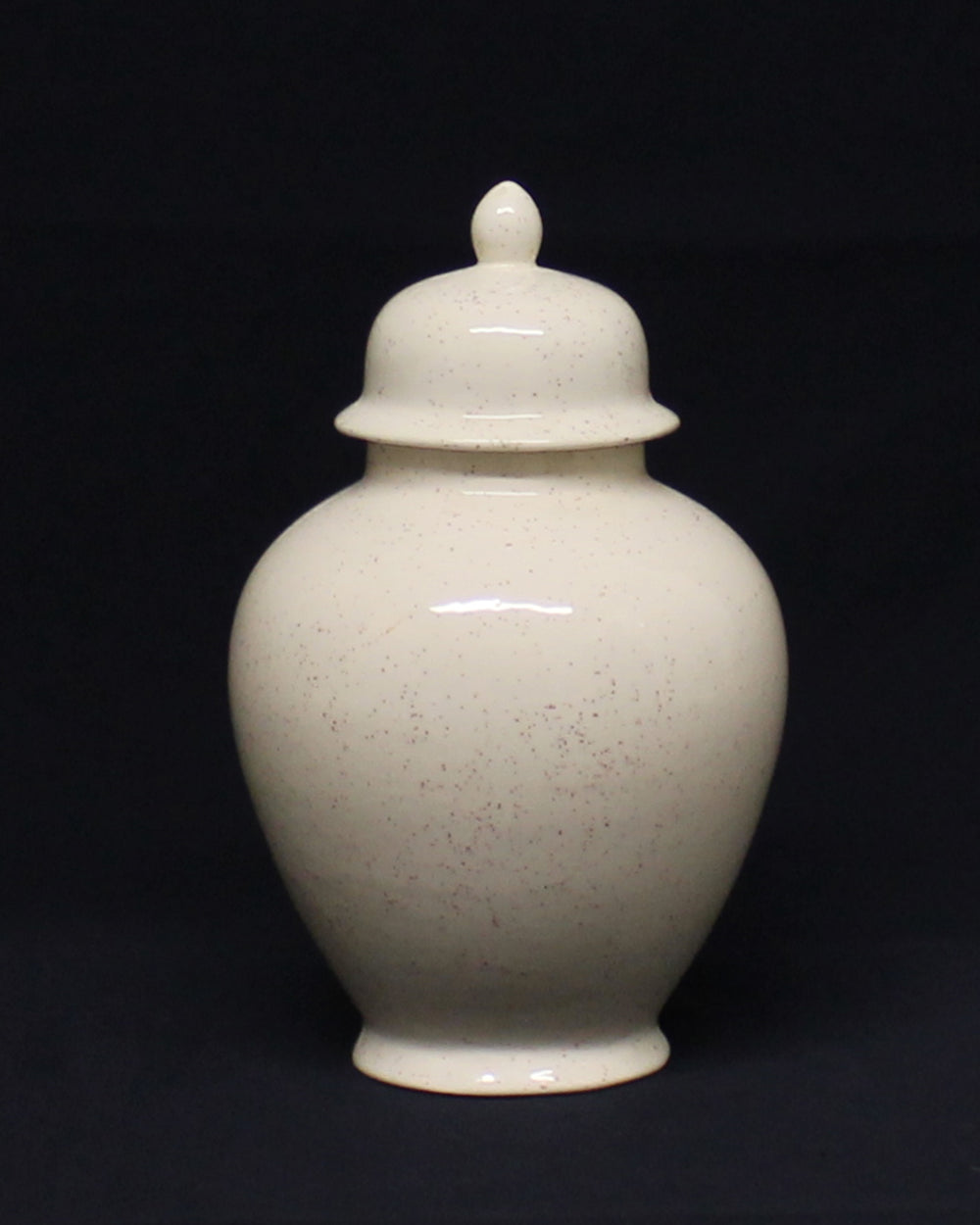 Hancrafted Ceramic Urn - Speckled - Medium